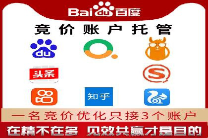 SEM托管服务案例：打造全方位营销解决方案