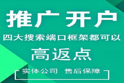 百度推广的投放策略与效果分析